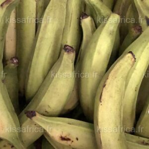 bananes plantains